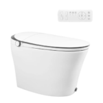 Smart Toilet WC